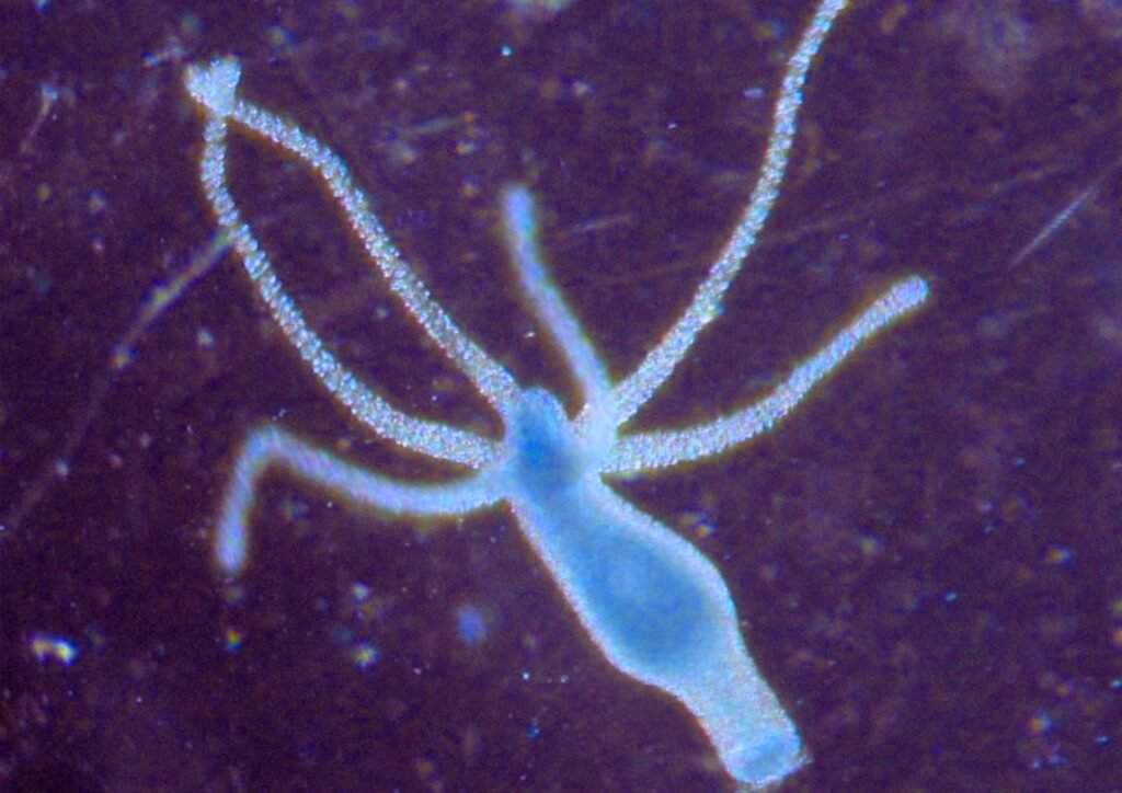 The Concept of 'God'