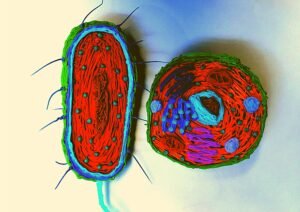 The Concept of 'God'