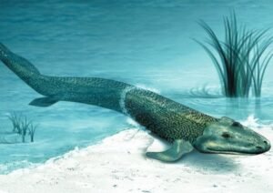 The Concept of 'God'