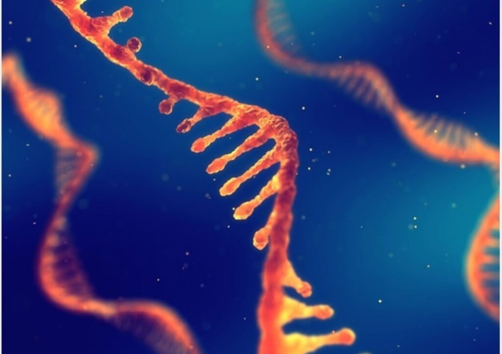 The Concept of 'God'