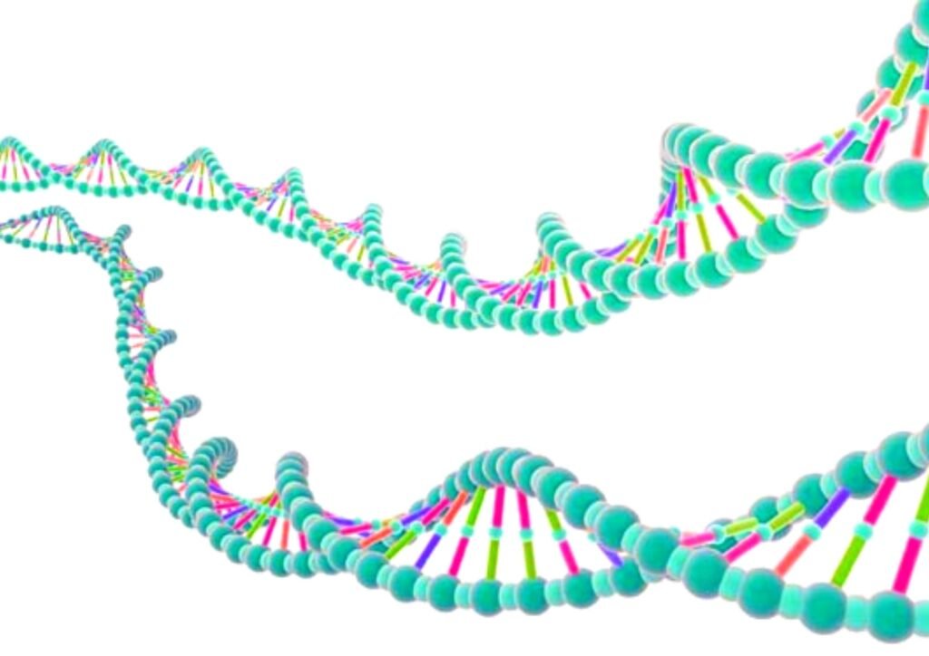 The Concept of 'God'